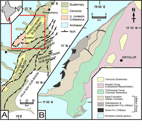 Newly Measured Outcrops Allow for Updated Biostratigraphy of Cauvery Basin