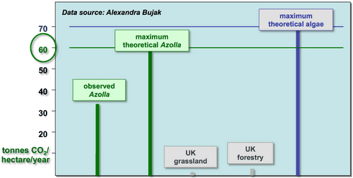 co2 sequestration 1024x516